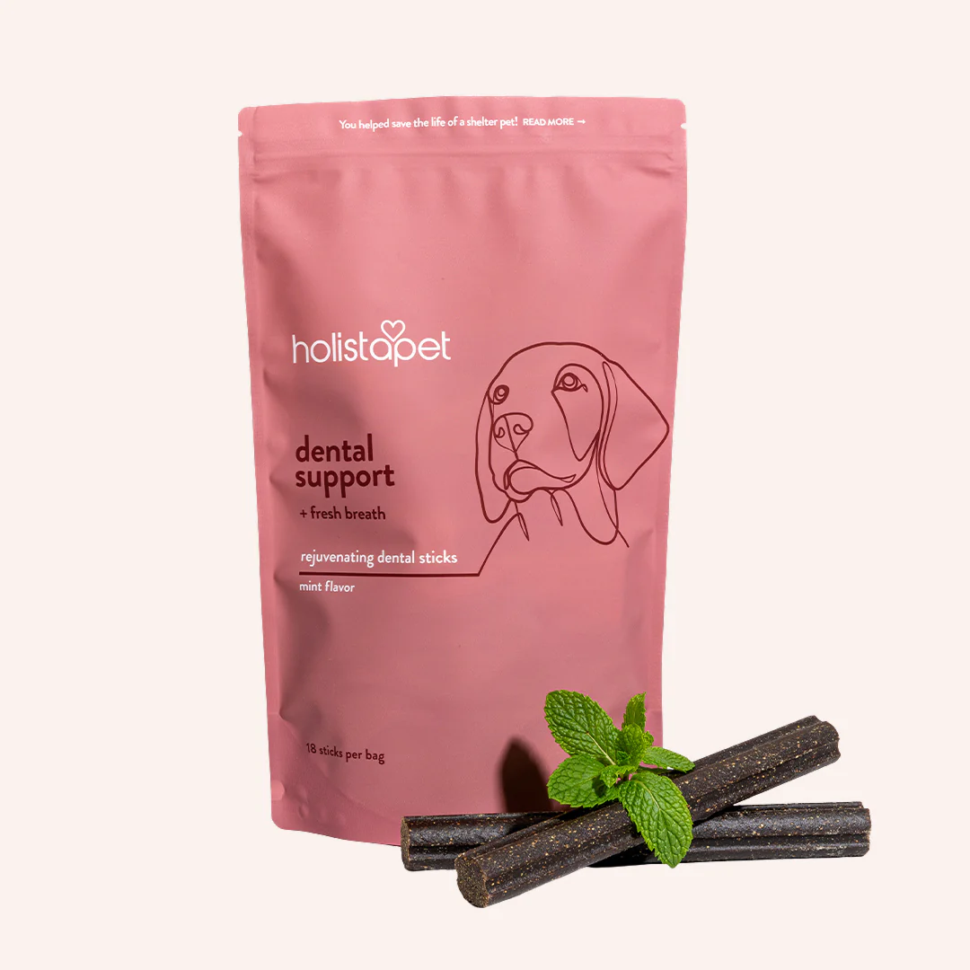 Best Dog Supplements & Vitamins: Natural Vet Approved Formulas